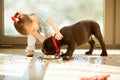 Cute little girl feeding her puppy Royalty Free Stock Photo