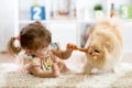 Cute little girl is feeding sausages to her dog Royalty Free Stock Photo