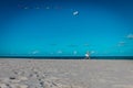 Cute little girl flying a kite at sky on beach Royalty Free Stock Photo