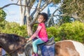 Cute little girl riding a horse in a forest and looking smiling Royalty Free Stock Photo