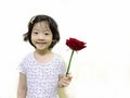 Cute little girl is giving rose isolated on white background Royalty Free Stock Photo