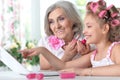 Little girl with granny using laptop Royalty Free Stock Photo