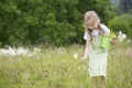 Cute little girl harvesting flowers