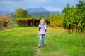 Cute little girl harvesting grapes in a vineyard Royalty Free Stock Photo