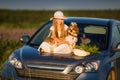 Cute little girl in a hat sitting on the hood of the car next to a dog and a bouquet of flowers. Summer vacation. Royalty Free Stock Photo