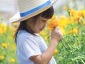 Cute little girl in a hat is smelling flowers in the marigold garden. Cute girl playing in a beautiful flower garden. A little Royalty Free Stock Photo