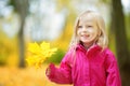 Cute little girl having fun on beautiful autumn day. Happy child playing in autumn park. Kid gathering yellow fall foliage. Royalty Free Stock Photo