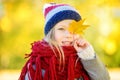 Cute little girl having fun on beautiful autumn day. Happy child playing in autumn park. Kid gathering yellow fall foliage. Royalty Free Stock Photo