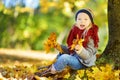 Cute little girl having fun on beautiful autumn day. Happy child playing in autumn park. Kid gathering yellow fall foliage. Royalty Free Stock Photo