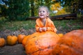 Cute little girl having fun with huge pumpkins on a pumpkin patch. Kid picking pumpkins at country farm on warm autumn Royalty Free Stock Photo