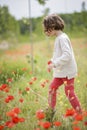 Cute little girl having fun in a poppy field Royalty Free Stock Photo