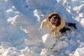 Cute little girl having fun in snowfall. Children play outdoors winter season in snow. Royalty Free Stock Photo