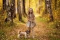 Cute little girl with her dog in autumn park. Lovely child with dog walking in fallen leaves.Girl throws up fallen leaves. Happy Royalty Free Stock Photo