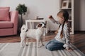 Cute little girl feeding her dog at home. Childhood pet Royalty Free Stock Photo