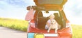 Cute little girl and her dog in open car trunk outdoors. Space for text Royalty Free Stock Photo