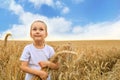 Cute little girl is holding golden ears of rye on walking on wheat field. Royalty Free Stock Photo
