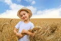 Cute little girl is holding golden ears of rye on walking on wheat field. Royalty Free Stock Photo