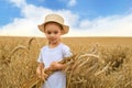 Cute little girl is holding golden ears of rye on walking on wheat field. Royalty Free Stock Photo