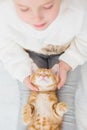 Cute little girl holding a kitten on a ginger hand