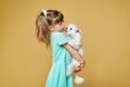 Cute little girl holds a Maltese lap dog in her arms. who licks her lips Royalty Free Stock Photo