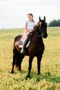 Cute little girl on a horse in a summer field dress. sunny day Royalty Free Stock Photo