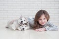 Cute little girl hugging husky puppy on a white background Royalty Free Stock Photo