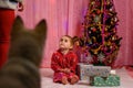 Cute little girl with a husky puppy playing near the Christmas tree, New Year`s photography of a child with a dog Royalty Free Stock Photo