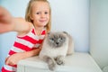 Cute little girl kissing her pet cat at home. Love between kid and pet Royalty Free Stock Photo