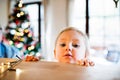 Little girl in kitchen at Christmas time.