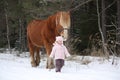 Cute little girl leading big draught horse in winter Royalty Free Stock Photo