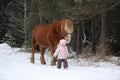 Cute little girl leading big draught horse in winter Royalty Free Stock Photo