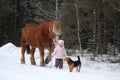 Cute little girl leading big draught horse in winter Royalty Free Stock Photo