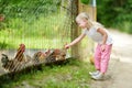 Cute little girl looking at farm chickens through metal fence Royalty Free Stock Photo