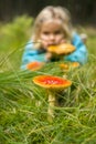 Cute little girl looking at mushrooms in summer - autumn forest Royalty Free Stock Photo