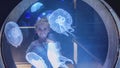 Cute little girl looking over blue jellyfish in aquarium through the glass