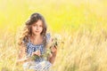 Cute little girl making wreath of beautiful flowers in field on sunny day