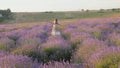 Cute little girl merrily flees and happily jumping among lavender field