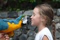 Cute little girl and parrot Royalty Free Stock Photo