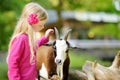Cute little girl petting and feeding a goat at petting zoo. Child playing with a farm animal on sunny summer day. Royalty Free Stock Photo