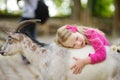 Cute little girl petting and feeding a goat at petting zoo. Child playing with a farm animal on sunny summer day. Royalty Free Stock Photo