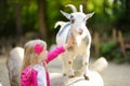 Cute little girl petting and feeding a goat at petting zoo. Child playing with a farm animal on sunny summer day. Royalty Free Stock Photo