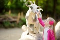 Cute little girl petting and feeding a goat at petting zoo. Child playing with a farm animal on sunny summer day. Royalty Free Stock Photo