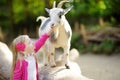 Cute little girl petting and feeding a goat at petting zoo. Child playing with a farm animal on sunny summer day. Royalty Free Stock Photo