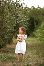 Cute little girl picking a cherry in a garden and eats. Harvest time Royalty Free Stock Photo