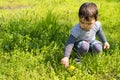 Cute little girl picking flowers on the meadow Royalty Free Stock Photo