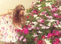 Cute little girl picking flowers. Royalty Free Stock Photo