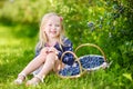 Cute little girl picking fresh berries on organic blueberry farm on warm summer day