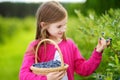 Cute little girl picking fresh berries on organic blueberry farm on warm summer day