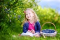 Cute little girl picking fresh berries on organic blueberry farm Royalty Free Stock Photo