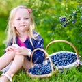 Cute little girl picking fresh berries on organic blueberry farm Royalty Free Stock Photo